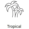Record Tropical